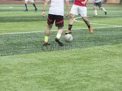 日北方网新,闻概览,开云体育官网在线注册,开云体育,开云体育官网,开云体育app,开云体育平台,KAIYUN,SPORTS,kaiyun登录入口