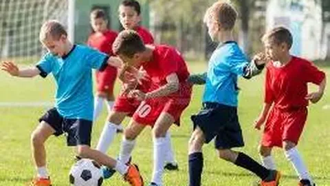 开云体育官网在线注册 产品 083144 e26