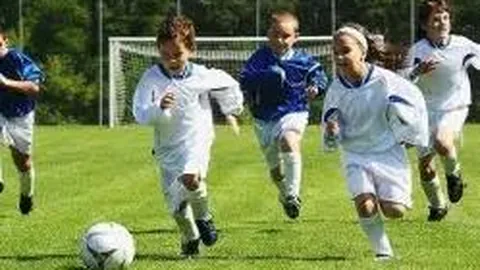 开云体育官网在线注册 资讯 083333 s97