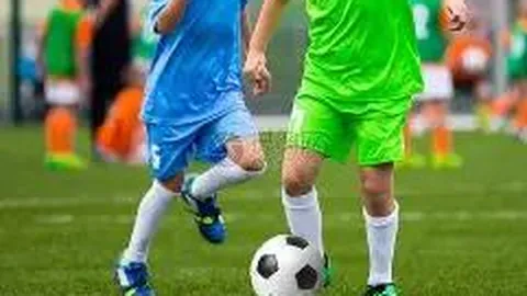 开云体育官网在线注册 产品 083327 km0