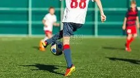 开云体育官网在线注册 产品 083344 njx