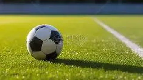 开云体育官网在线注册 产品 083106 lz2