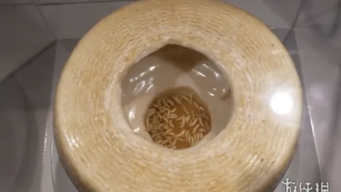 开云体育官网在线注册 产品 083131 8rp